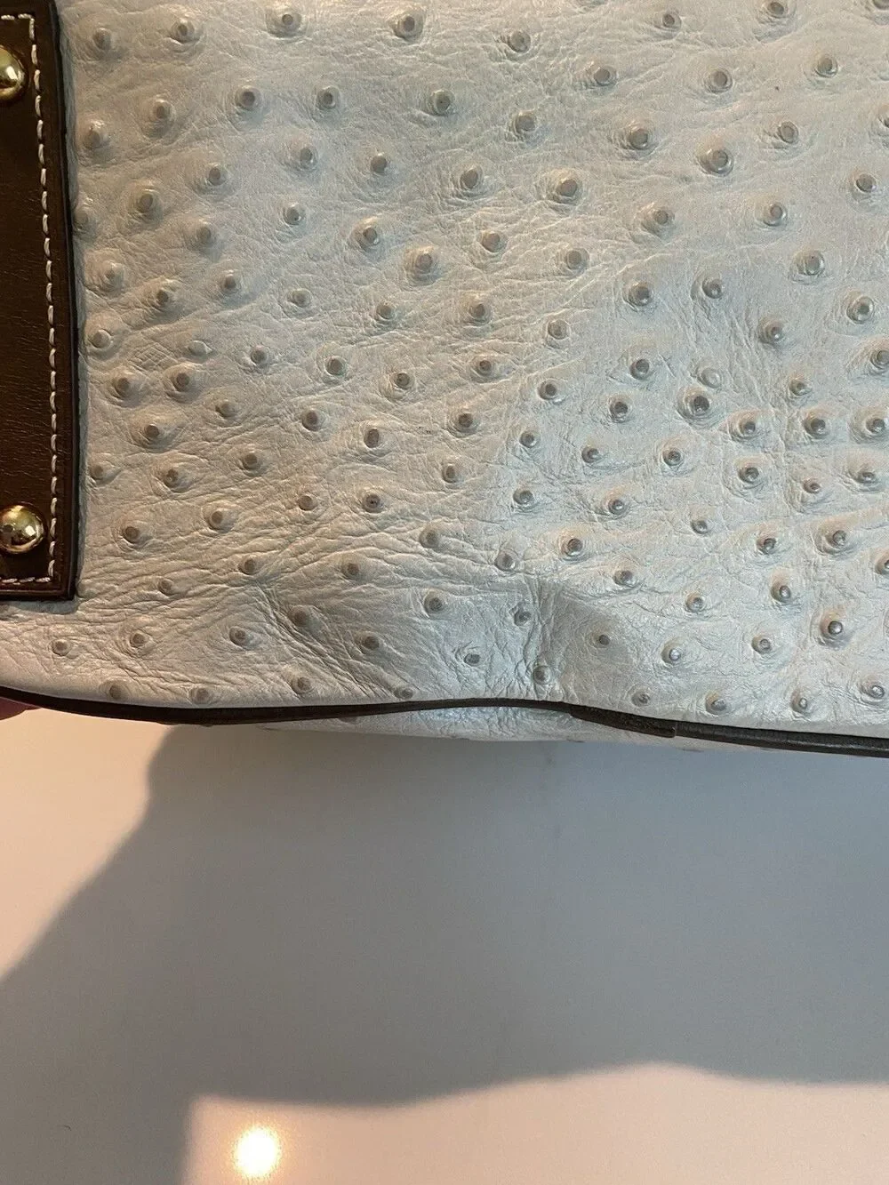 Dooney & Bourke Ostrich Hobo In Bone And Brown